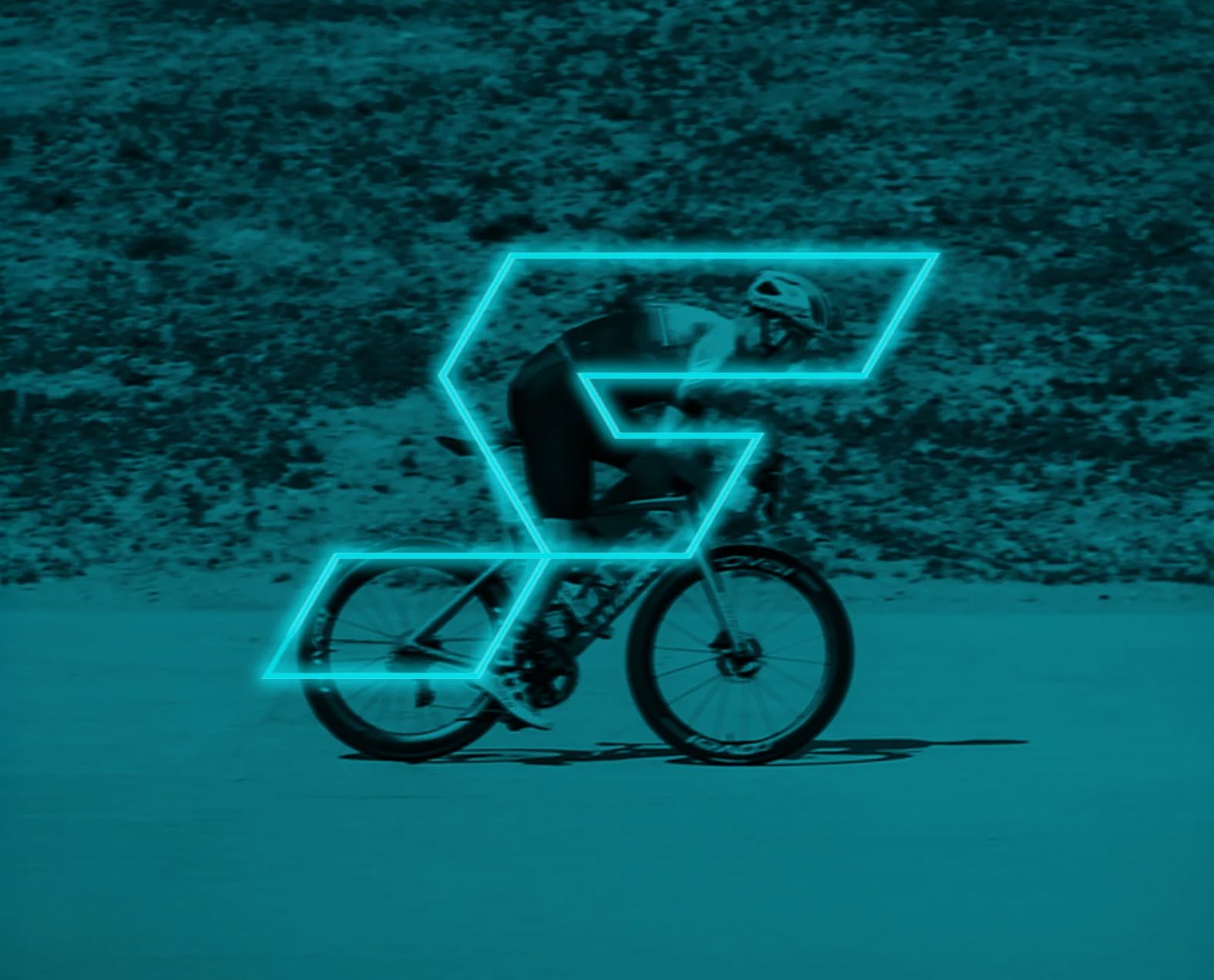 Brand identity — logo lockup