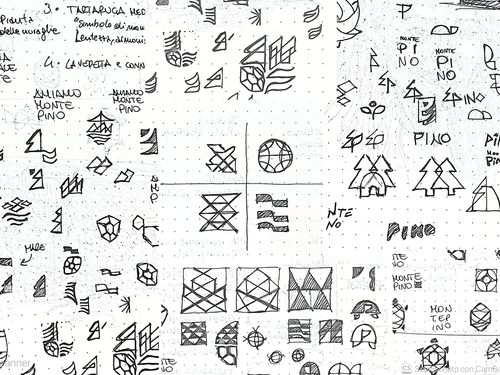 Monte Pino logo exploration sketches on paper